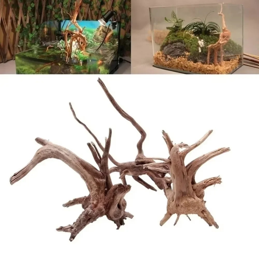Marine Aquarium Tanks - Legno Naturale per Acquario 15-20CM -