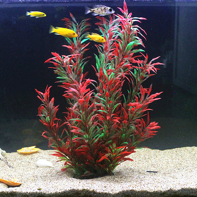 Marine Aquarium Tanks - 50CM Acquario artificiale Piante rare Acquario