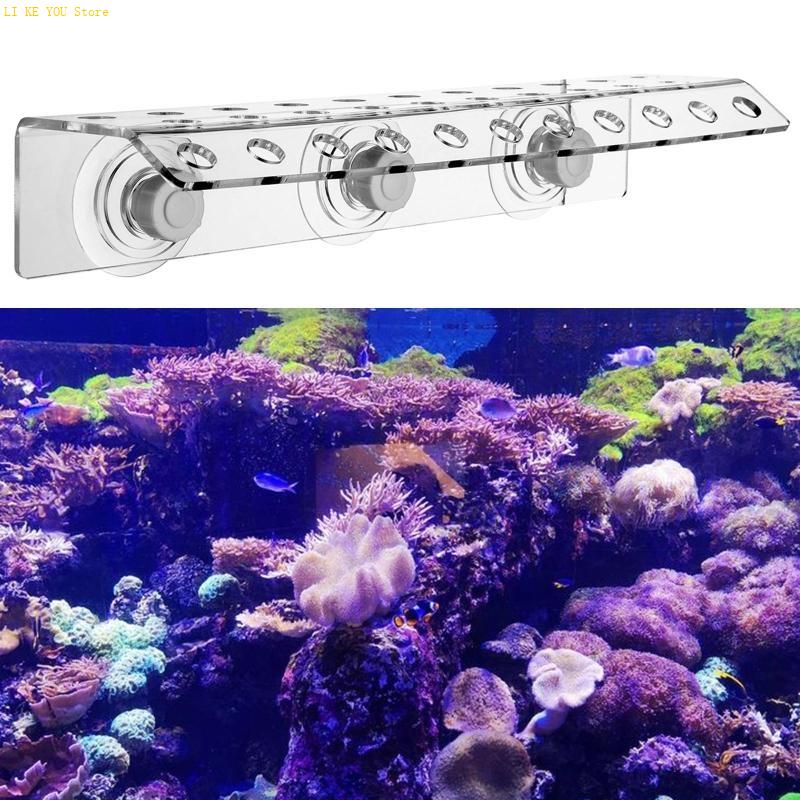W3JE Porta-frammenti per coral - Coral Frag Plug recensione e prezzo