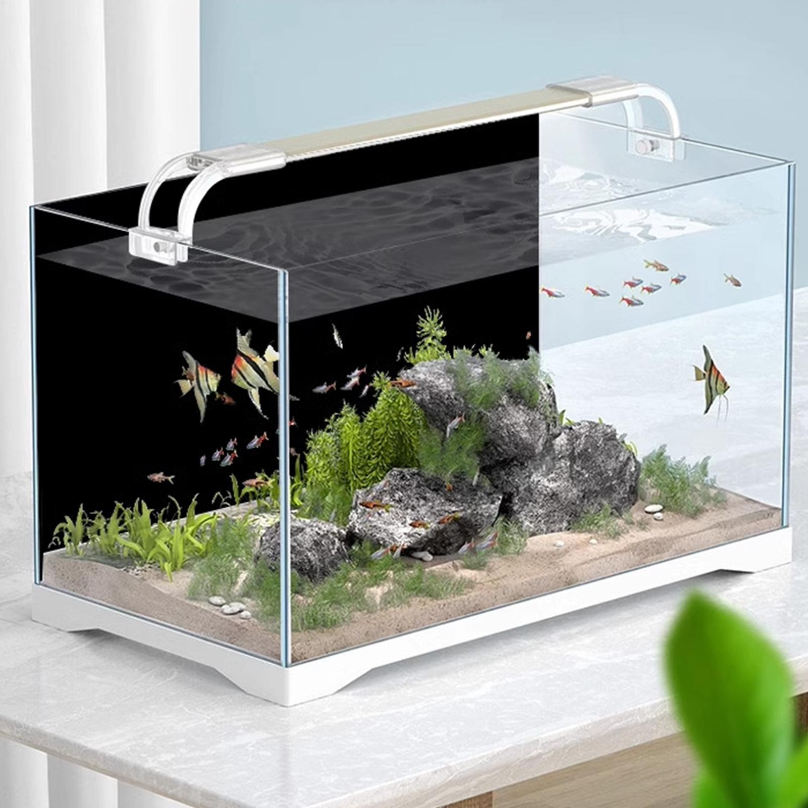 Adesivo per Sfondo Acquario, P - Marine Aquarium Glue recensione e prezzo