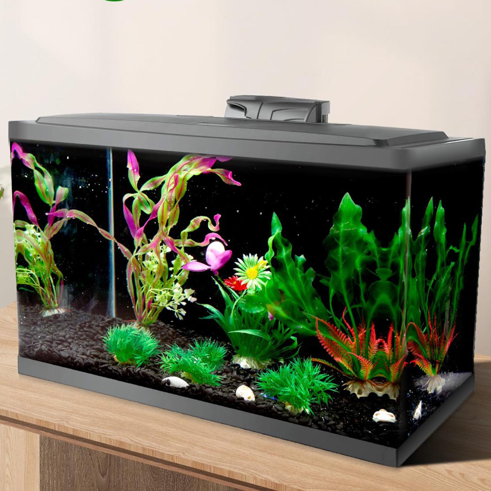 Adesivo per Sfondo Acquario, P - Marine Aquarium Glue recensione e prezzo