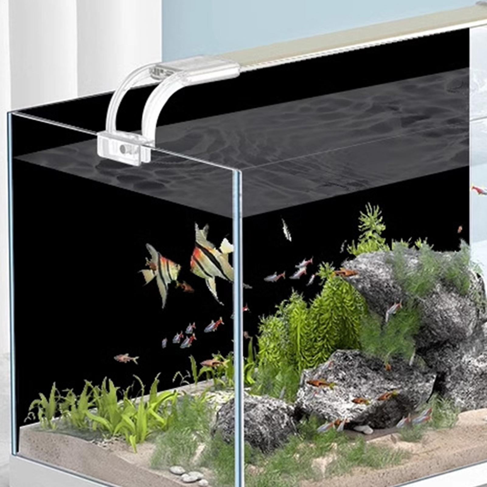 Adesivo per Sfondo Acquario, P - Marine Aquarium Glue recensione e prezzo
