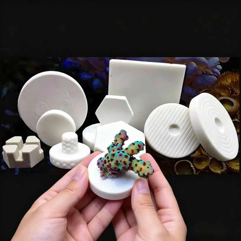 Base per fragole di corallo in - Coral Frag Plug recensione e prezzo