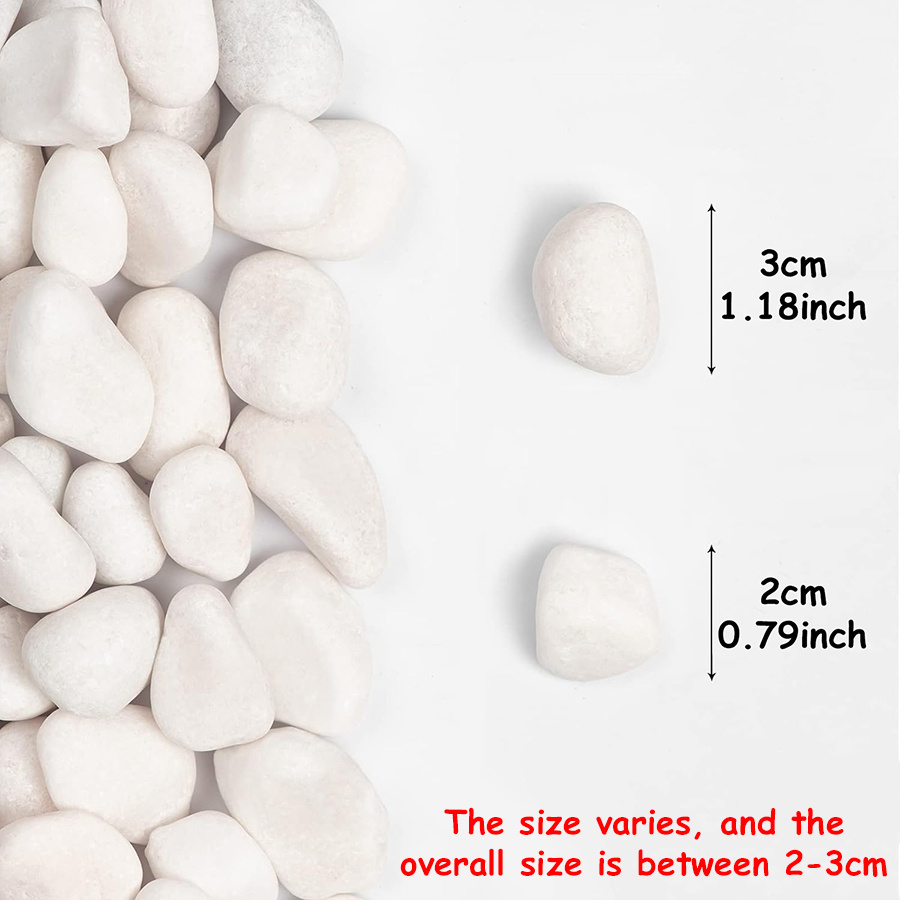 200/400g Bianco Alto Lucido Ci - Marine Aquarium Tanks recensione e prezzo