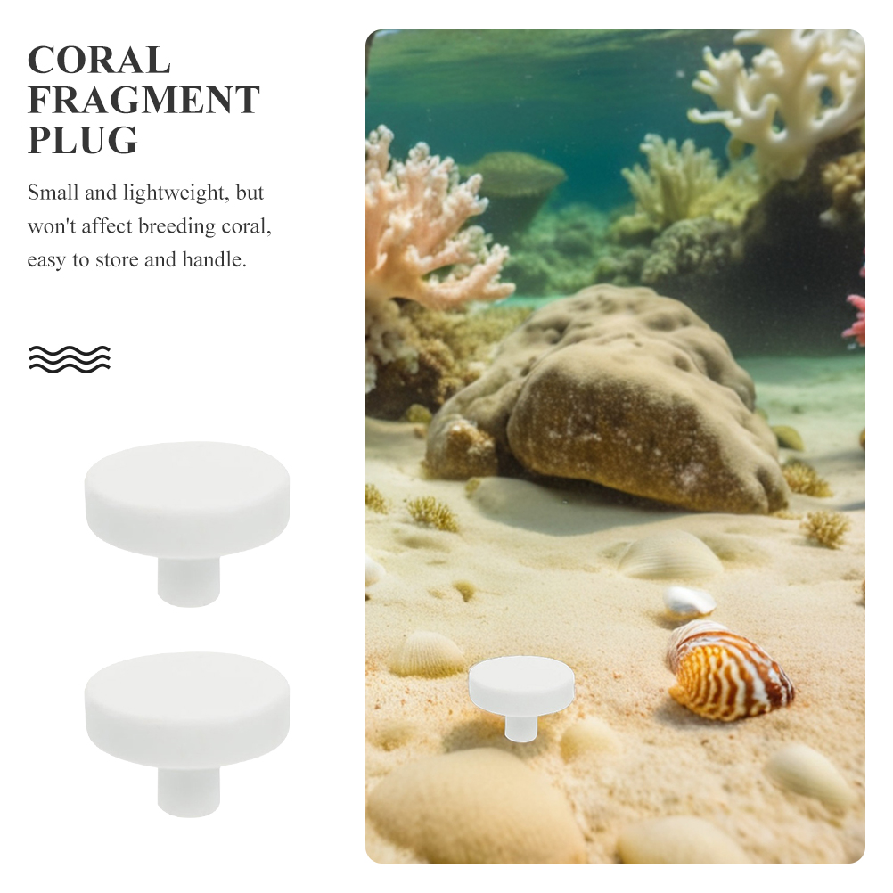 20 Pezzi Supporti per Coralli  - Coral Frag Plug recensione e prezzo