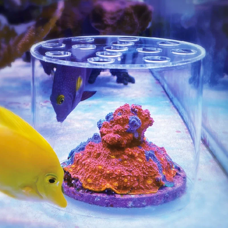 Vastocean Acquario Acrilico Co - Coral Frag Plug recensione e prezzo