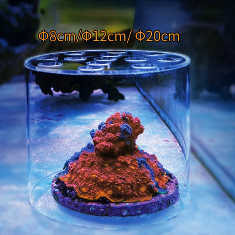 Vastocean Acquario Acrilico Co - Coral Frag Plug recensione e prezzo