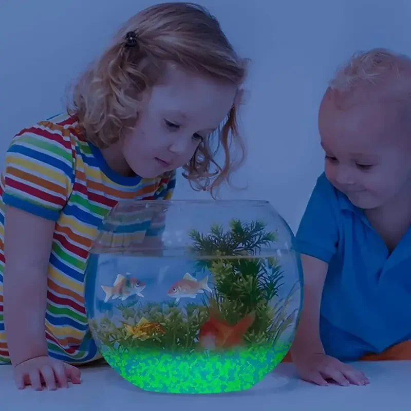 1000 pezzi 3-5mm sabbia lumino - Marine Aquarium Tanks recensione e prezzo