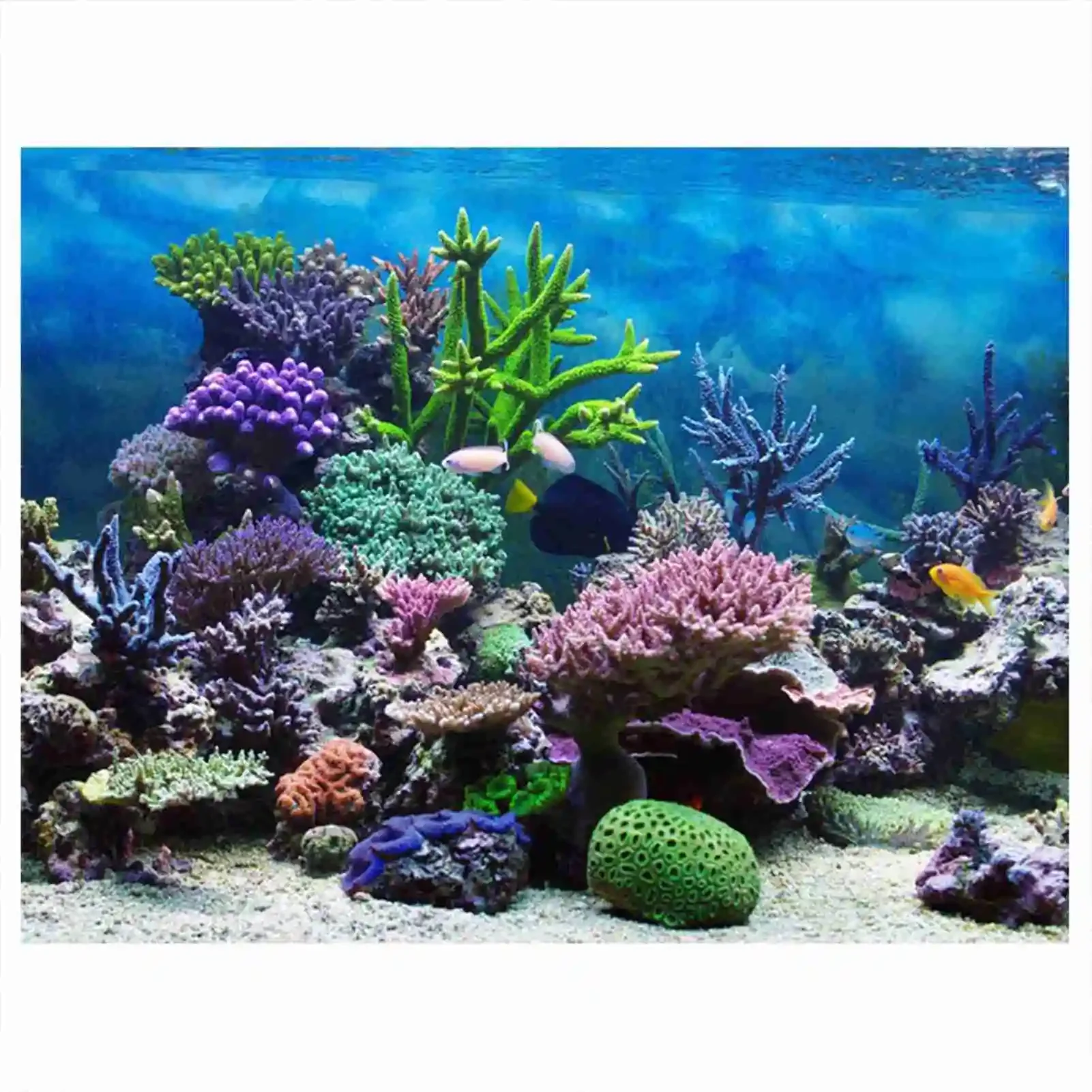 3D acquario paesaggio Poster f - Marine Aquarium Glue recensione e prezzo