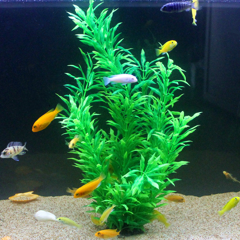 50CM Acquario artificiale Pian - Marine Aquarium Tanks recensione e prezzo